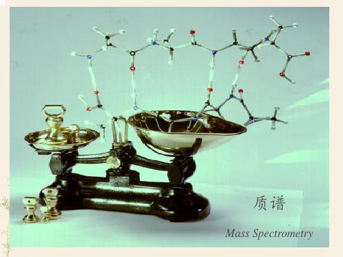 质谱  ppt课件