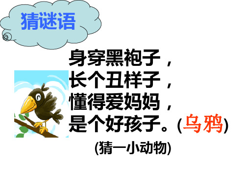 乌鸦喝水_课件(共22张PPT)