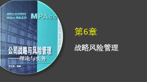 吕文栋 MPACC《公司战略与风险管理》课件第6章