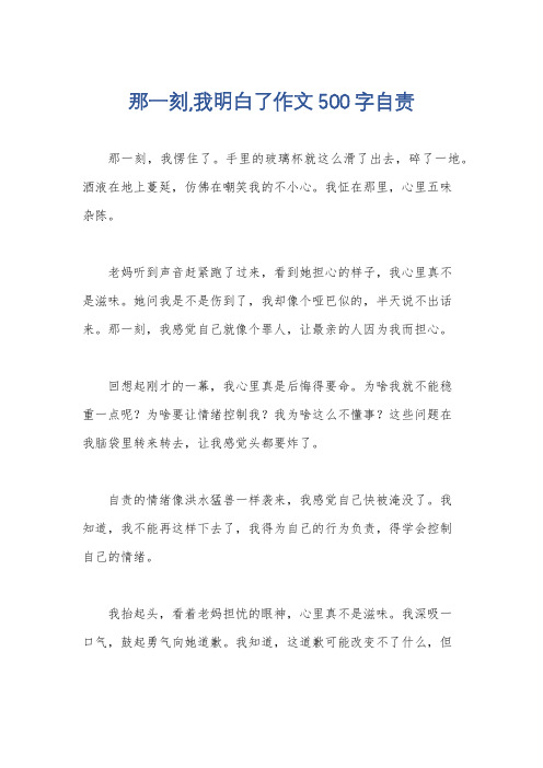 那一刻,我明白了作文500字自责