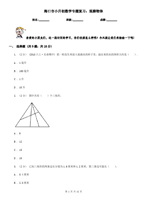 海口市小升初数学专题复习：观察物体