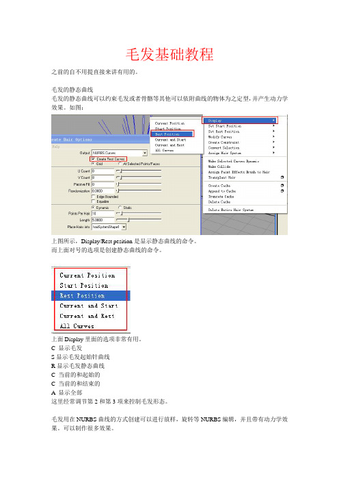 毛发基础教程