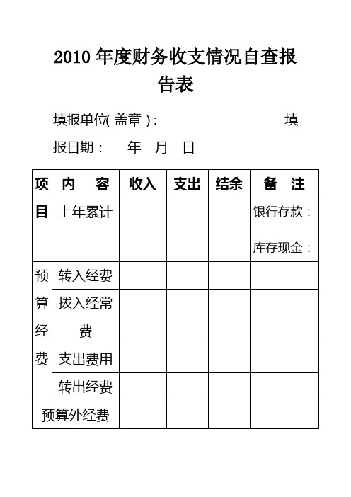 2010年度财务收支情况自查报告表