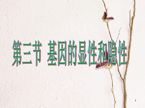 八年级生物下册 第7单元 第2章 第3节 基因的显性和隐性课件 (新版)新人教版.pptx