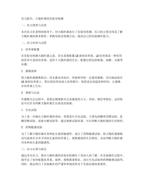 大肠杆菌实习报告