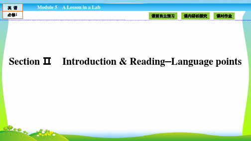 高中(外研版)英语必修1课件：Module 5 A Lesson in a Lab5.2