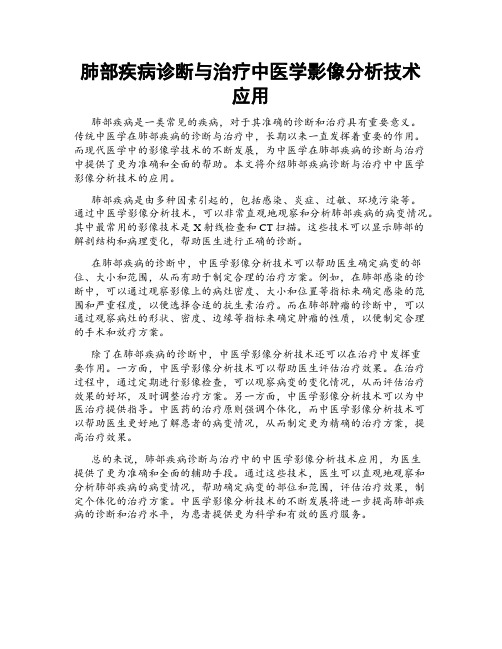 肺部疾病诊断与治疗中医学影像分析技术应用