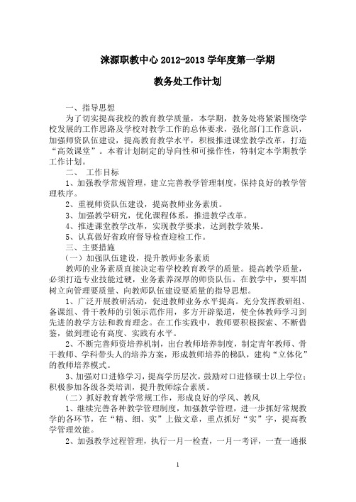 2012-2013教务处计划 文档