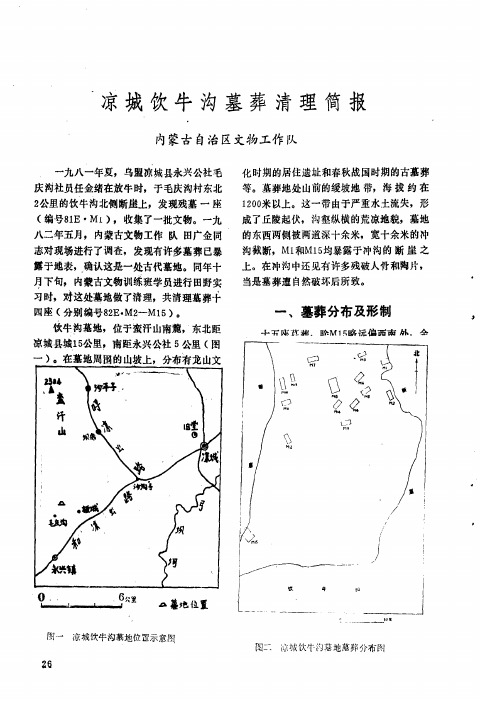 凉城饮牛沟墓葬清理简报