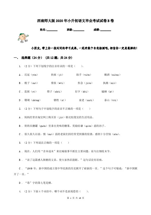 西南师大版2020年小升初语文毕业考试试卷B卷