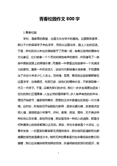 青春校园作文800字