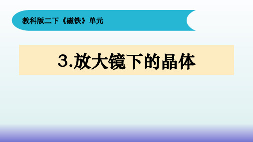 《放大镜下的晶体》 小学科学六年级下册PPT课件