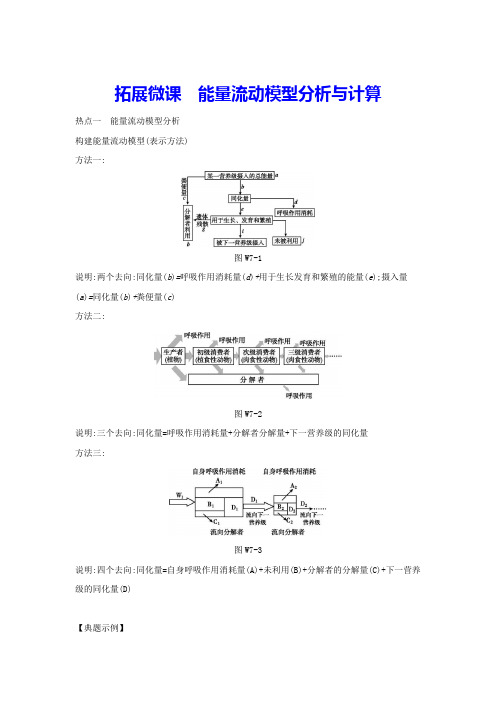 拓展微课 能量流动模型分析与计算(含答案详解)