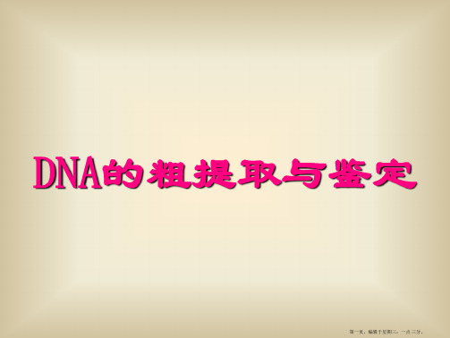 DNA的粗提取与鉴定(优秀课件)