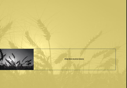 两因素影响关键词排名