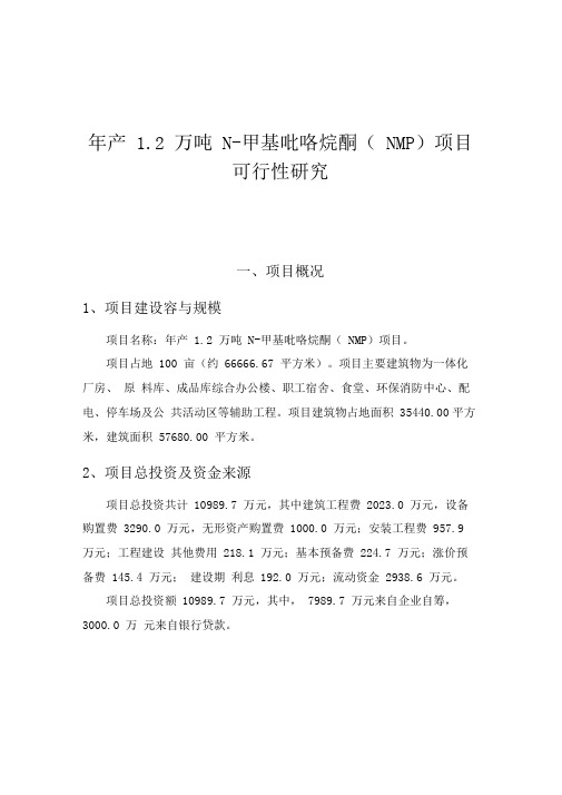 年产1.2万吨N甲基吡咯烷酮(NMP)项目可行性实施报告