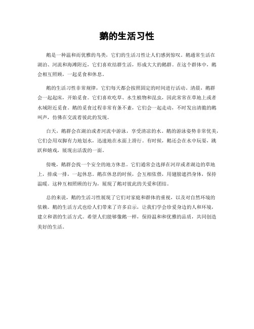 鹅的生活习性