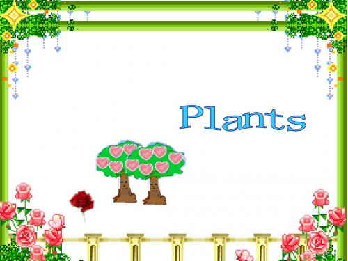 小学三年级英语课件 Plants Period 4