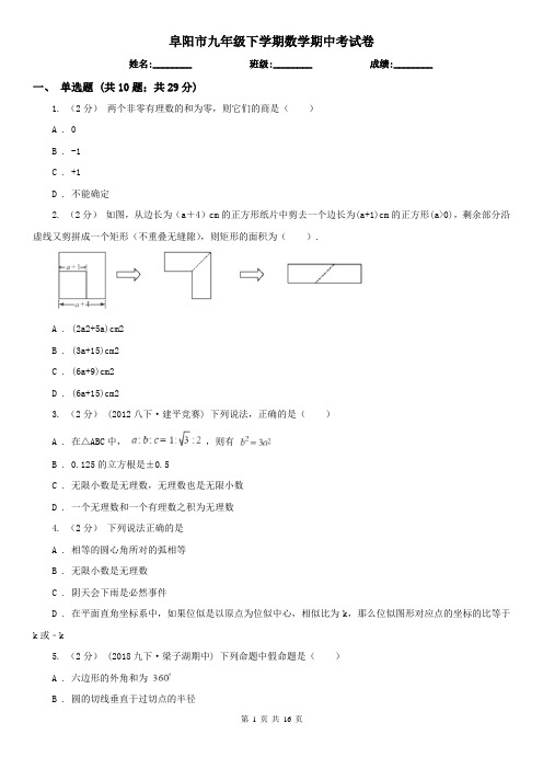 阜阳市九年级下学期数学期中考试卷