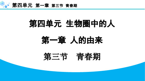 最新七年级生物上册4-3青春期 专题训练 课件