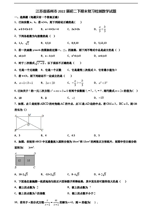 江苏省扬州市2022届初二下期末复习检测数学试题含解析