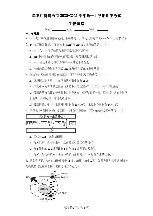 黑龙江省鸡西市2023-2024学年高一上学期期中考试生物试卷(含解析)