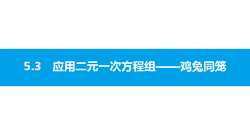 《应用二元一次方程组—鸡兔同笼》二元一次方程组PPT教学课件