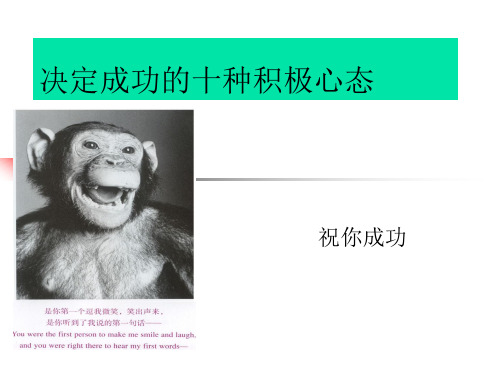 决定成功的十种积极心态.ppt