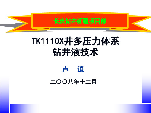 TK1110X井多压力体系钻井液技术