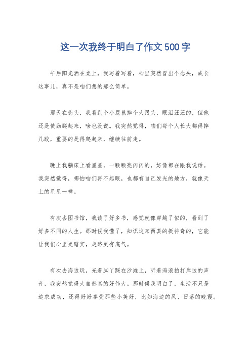 这一次我终于明白了作文500字