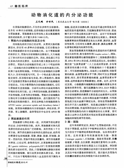 动物消化道的内分泌功能