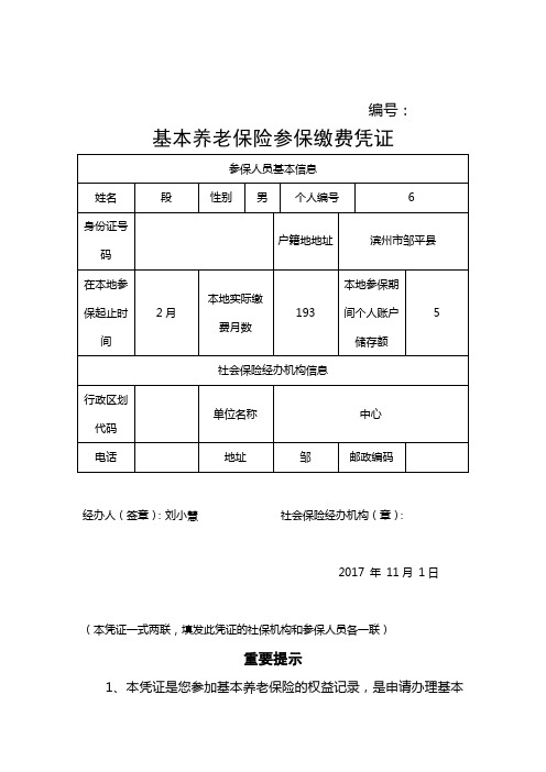 基本养老保险参保缴费凭证2