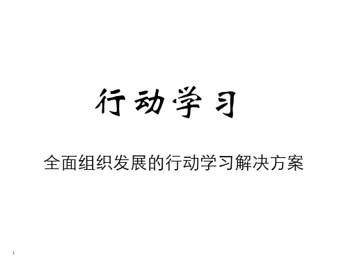 行动学习