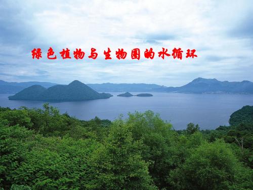 第三章绿色植物与生物圈的水循环