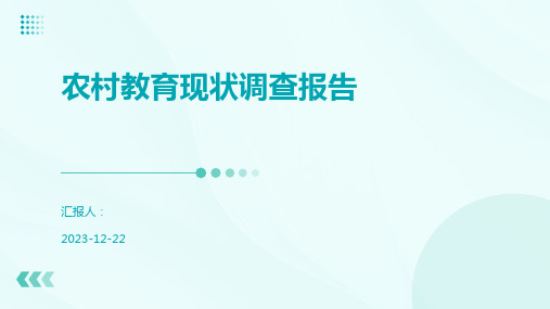 农村教育现状调查报告