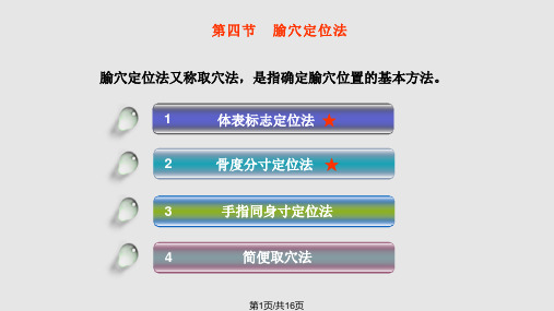 腧穴定位法PPT课件