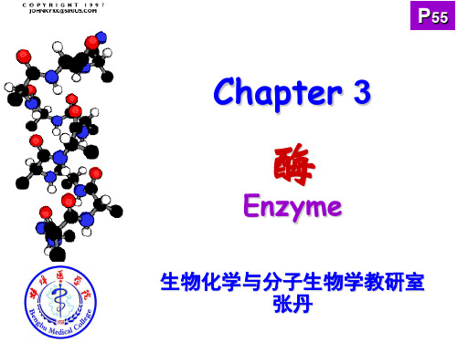 《医学生物化学与分子生物学》酶章节