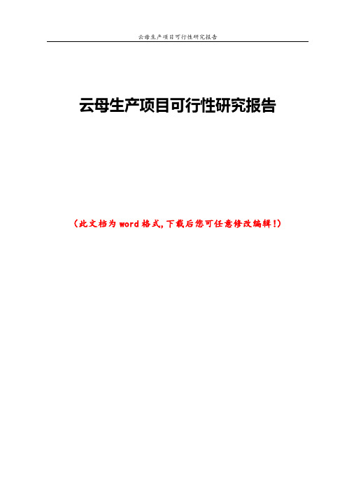 云母生产项目可行性研究报告