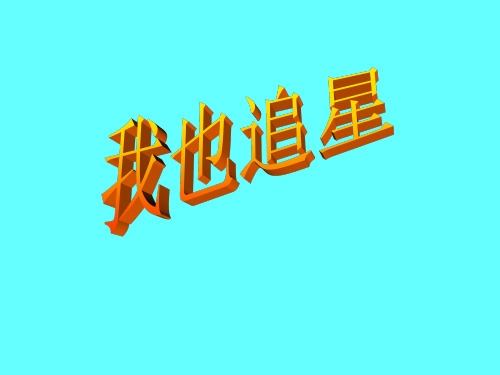 我也追星(用)PPT课件