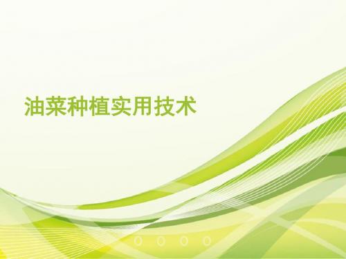 油菜种植实用技术之二