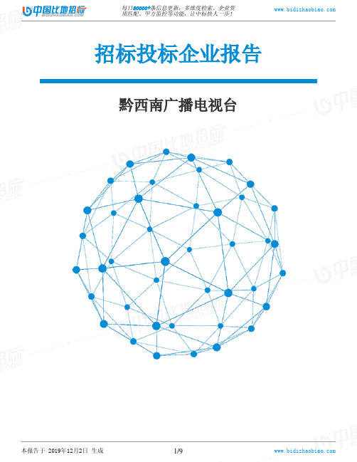 黔西南广播电视台-招投标数据分析报告