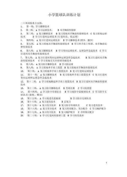 小学篮球队学期训练计划