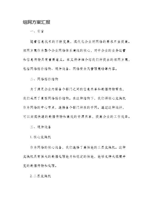 组网方案汇报