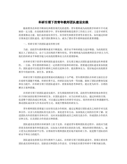 科研引领下的青年教师团队建设实践