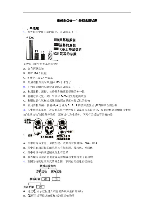 漳州市必修一生物期末测试题