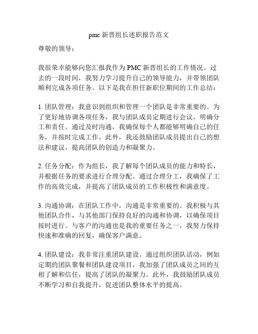 pmc新晋组长述职报告范文