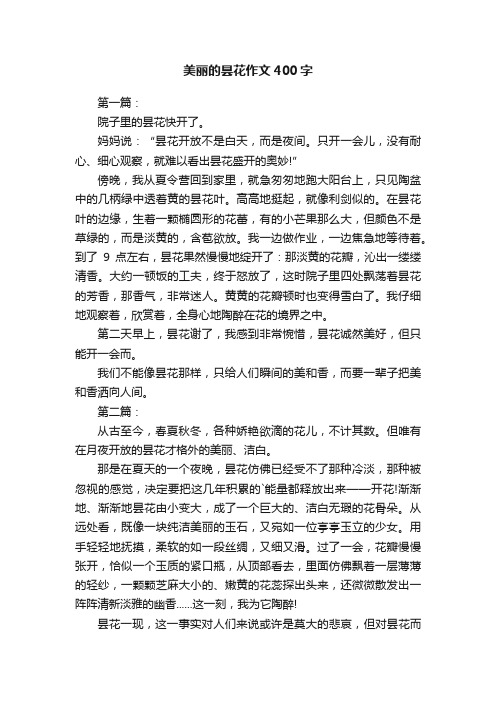 美丽的昙花作文400字