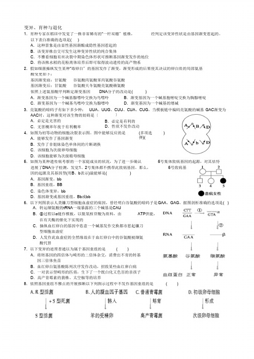 高中生物必修二第五六七章练习题及答案