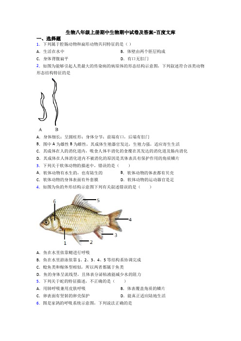 生物八年级上册期中生物期中试卷及答案-百度文库