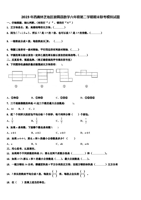 2023年西藏林芝地区察隅县数学六年级第二学期期末联考模拟试题含解析